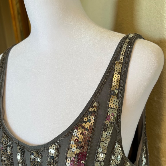 Sequin & Silk Silver Dress NWT - Picture 4 of 6